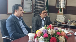 جلسه تخصصی بررسی چالش های فراهم آوری دسترسی عروقی در بیماران کلیوی و دیالیزی